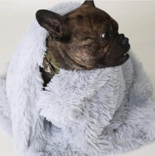 # Pet Blankets – Soft, Warm & Cozy Comfort for Cats and Dogs