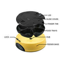 Automatic Pet Feeder with Pet Bowls