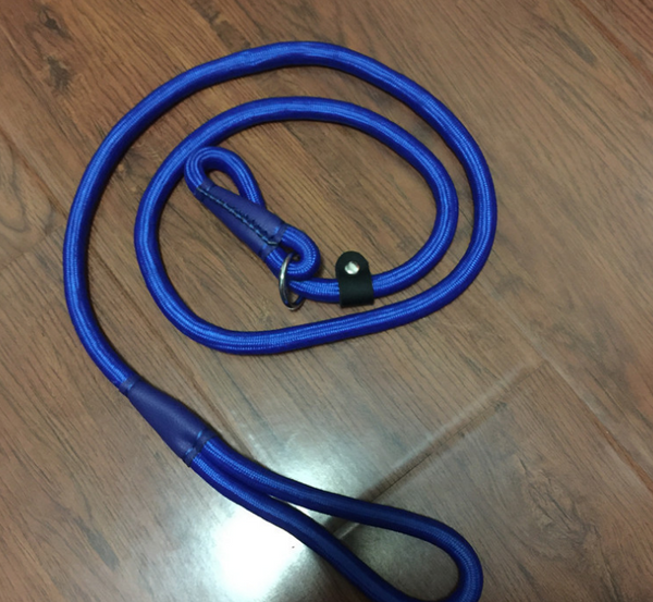 the perfect leash for safe and happy walks with your furry friend.