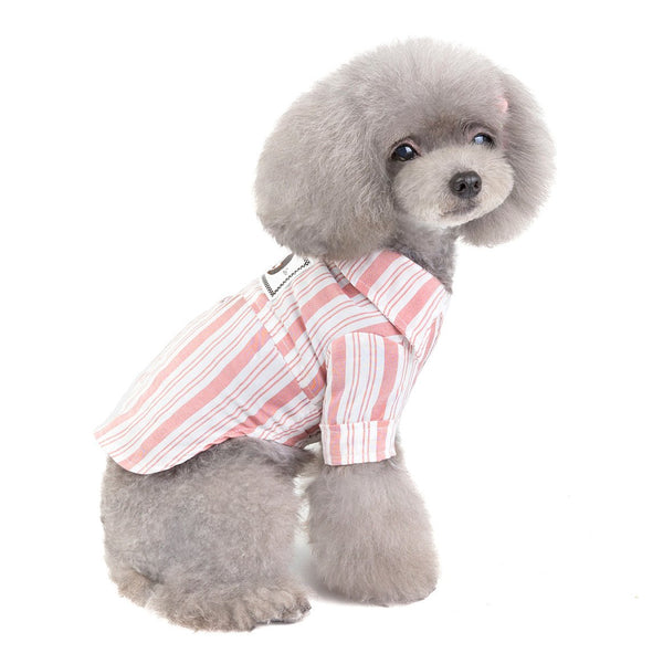 Cute, comfy, and stylish outfit for your furry friend. 🐾✨